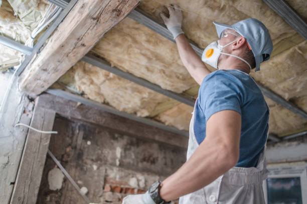 Best Eco-Friendly Insulation in Rossmoor, NJ
